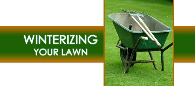 winterizing lawn