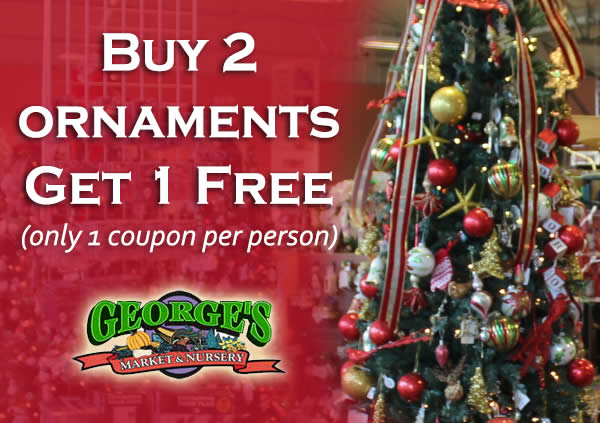 Ornaments Coupon