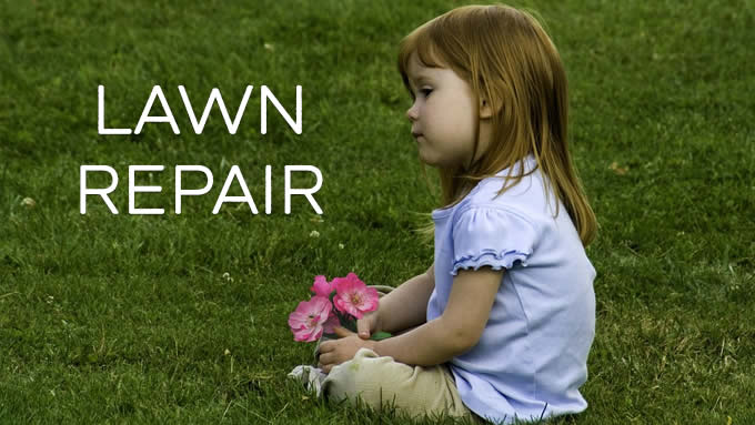 lawnrepair