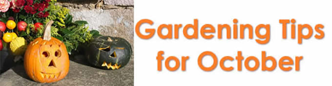October Gardening Tips