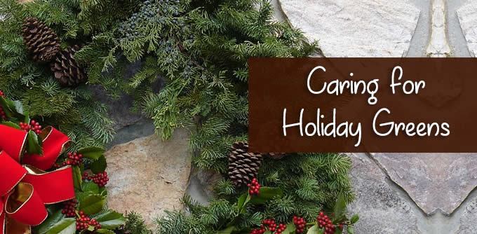 caringforholidaygreens.jpg