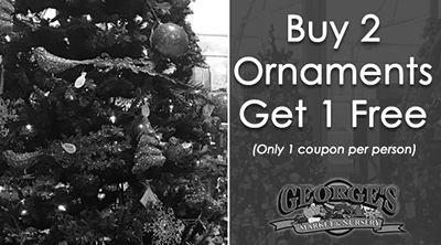 freshcut-christmastree-coupon