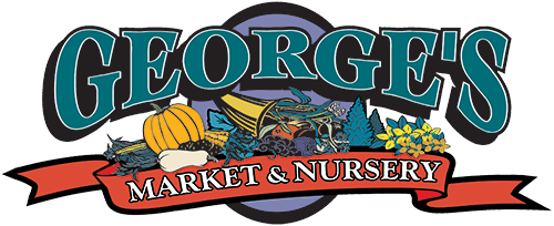 Georges Market Nursery