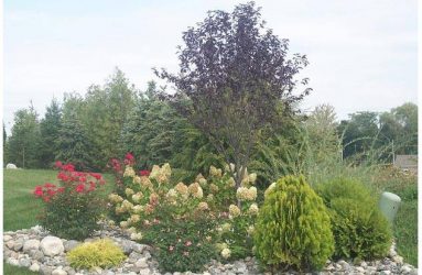 Landscape-Designin-georges-market-nursery2